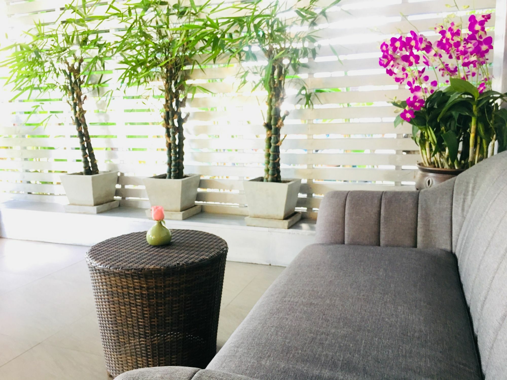 Kavil Guesthouse Τσιάνγκ Μάι Εξωτερικό φωτογραφία